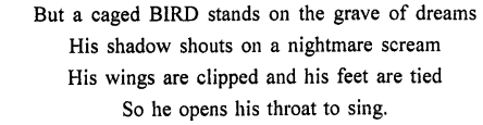 Treasure Trove A Collection of ICSE Poems Workbook Answers Chapter 7 I Know Why The Caged Bird Sings 4