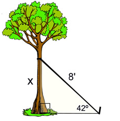 Trigonometry Solving Word Problems 8