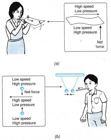 Understanding Bernoulli’s Principle 1