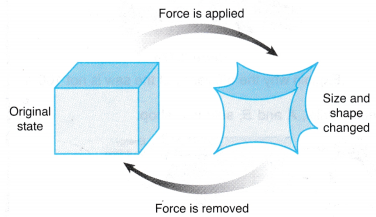 Understanding Elasticity 1