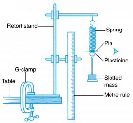 Understanding Elasticity 10