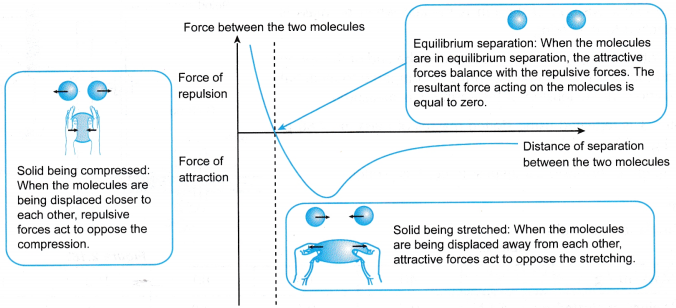 Understanding Elasticity 2