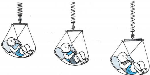 Understanding Elasticity 3