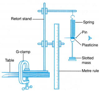 Understanding Elasticity 4