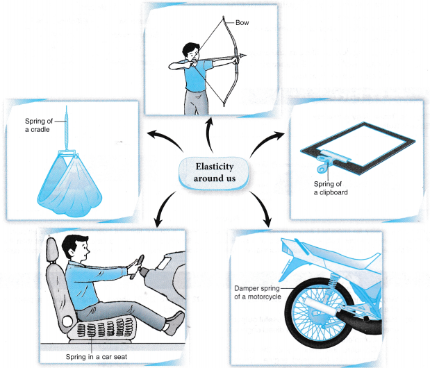 Understanding Elasticity