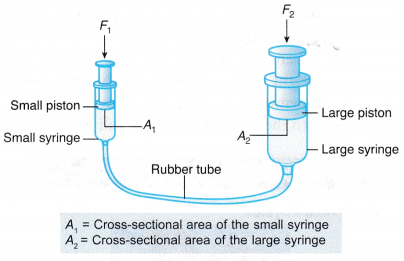 Understanding Pressure Using Pascal’s Principle 3