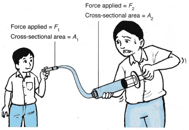 Understanding Pressure Using Pascal’s Principle 8