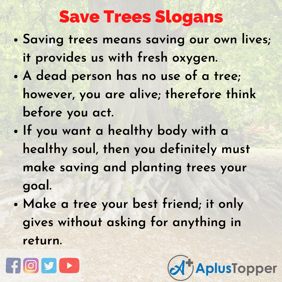 Unique and Catchy Save Trees Slogans