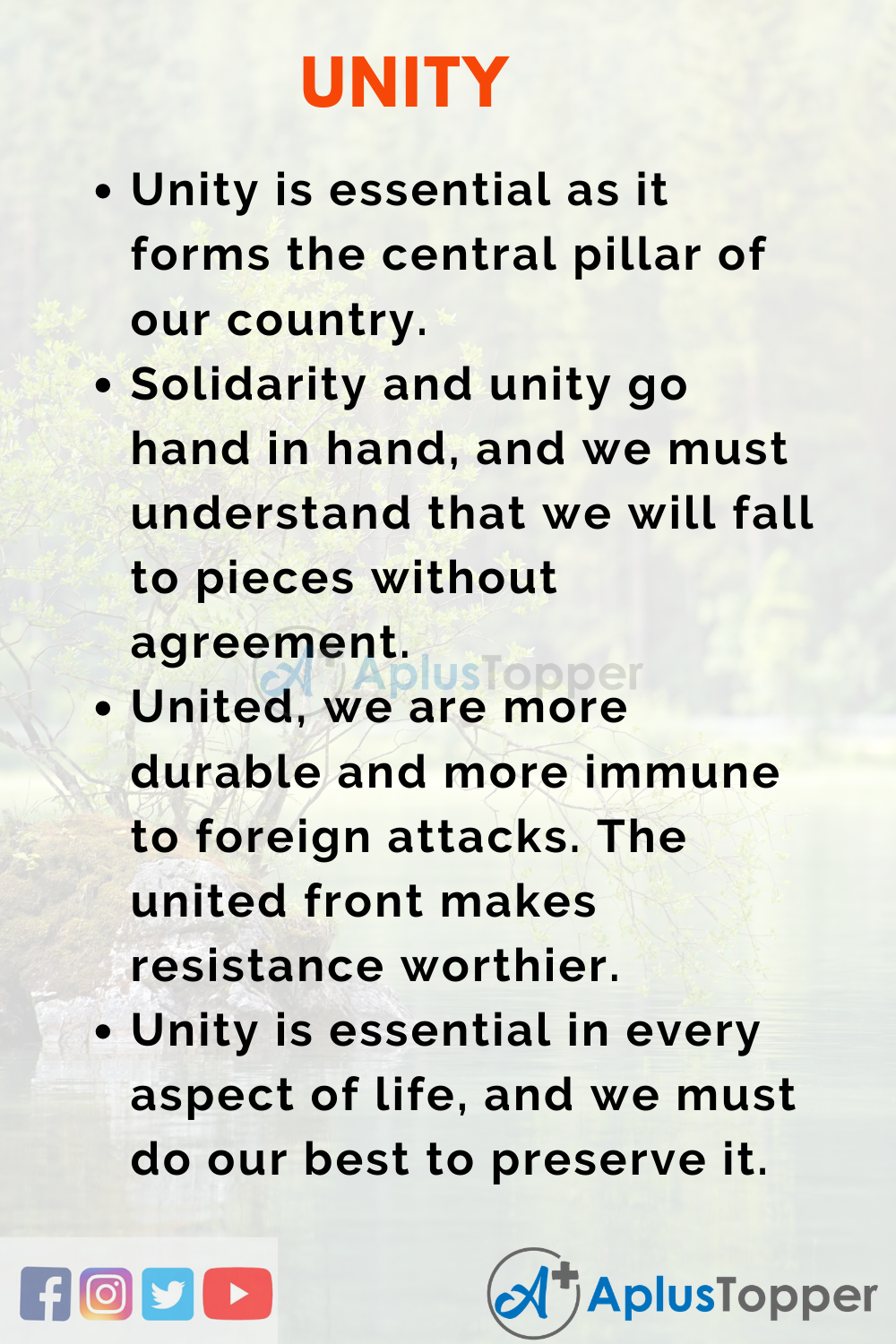 Unity Essay