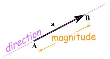 Vectors 1