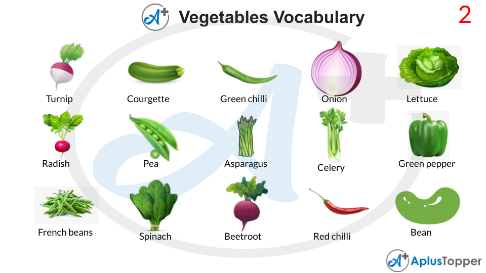 Vegetables Vocabulary With Images