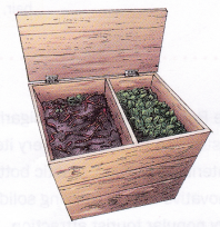 Vermicomposting 1