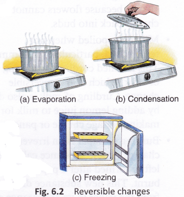 What Are Reversible And Irreversible Changes 2