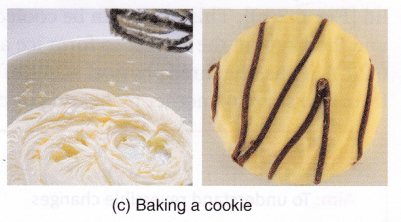 What Are Reversible And Irreversible Changes 5