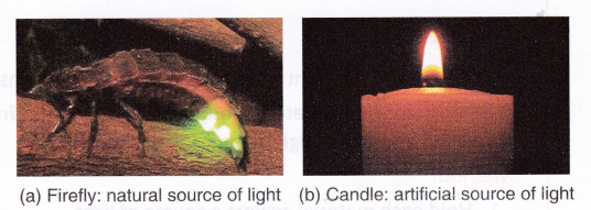 What Are Sources Of Light 1