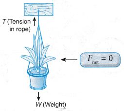 What Are The Effects Of Force On An Object 3