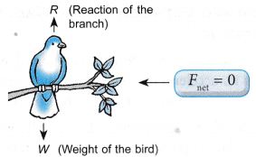 What Are The Effects Of Force On An Object 4