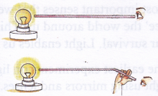 What Is Rectilinear Propagation Of Light 3