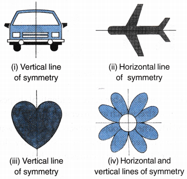 What Shape has only One Line of Symmetry 3