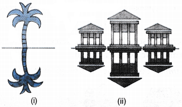 What Shape has only One Line of Symmetry 7