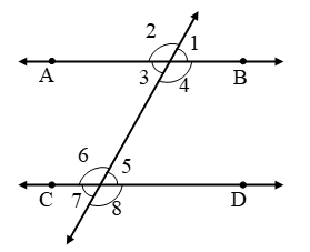 What are Parallel lines and Transversals 31