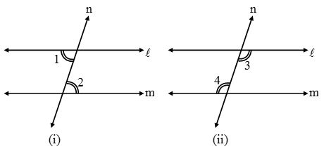 What are Parallel lines and Transversals 6