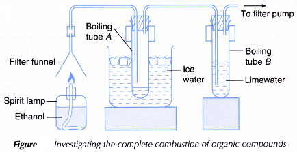 What are carbon compounds 3