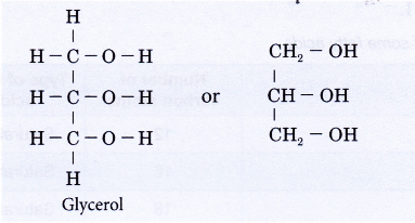 What are fats and oils 1