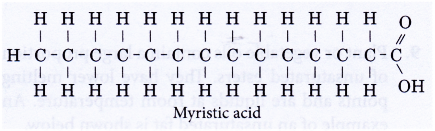 What are fats and oils 2