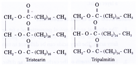 What are fats and oils 5