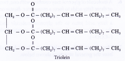 What are fats and oils 6