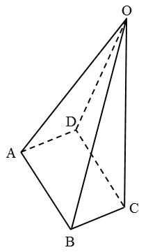 What are the Different Types Of 3-D Shapes 11