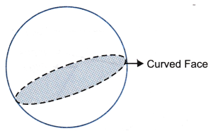 What are the Different Types Of 3-D Shapes 5