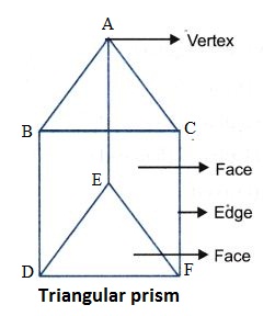 What are the Different Types Of 3-D Shapes 7