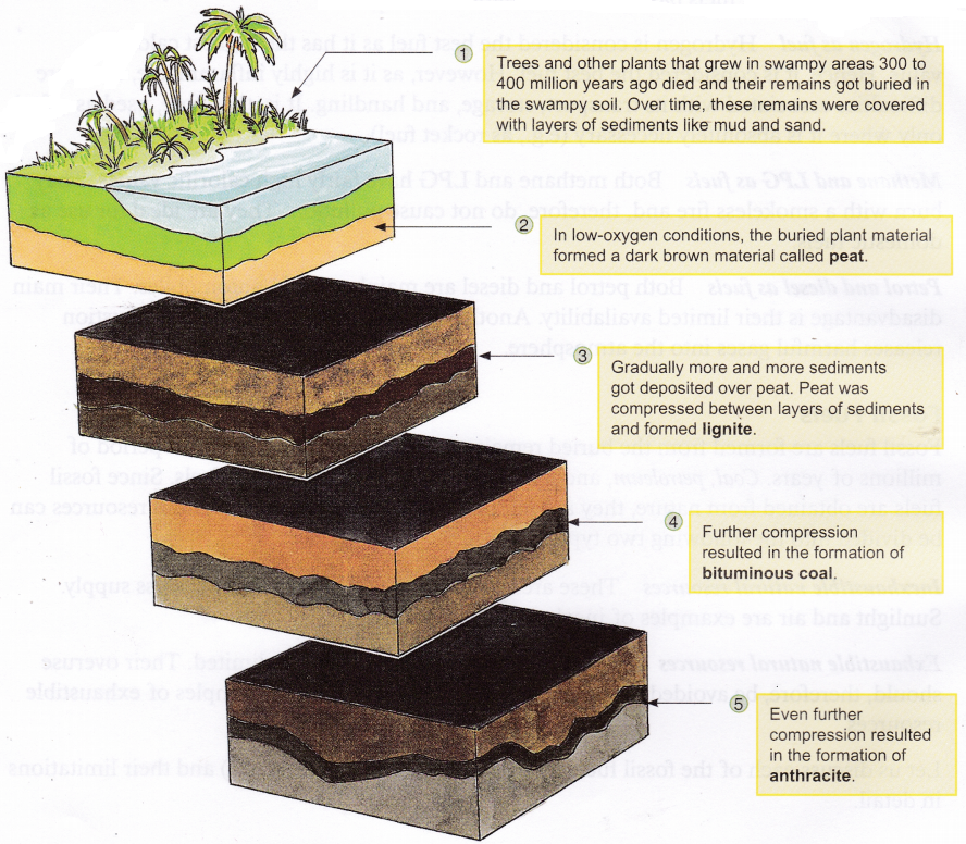 What are the Different Types of Fossil Fuels 1