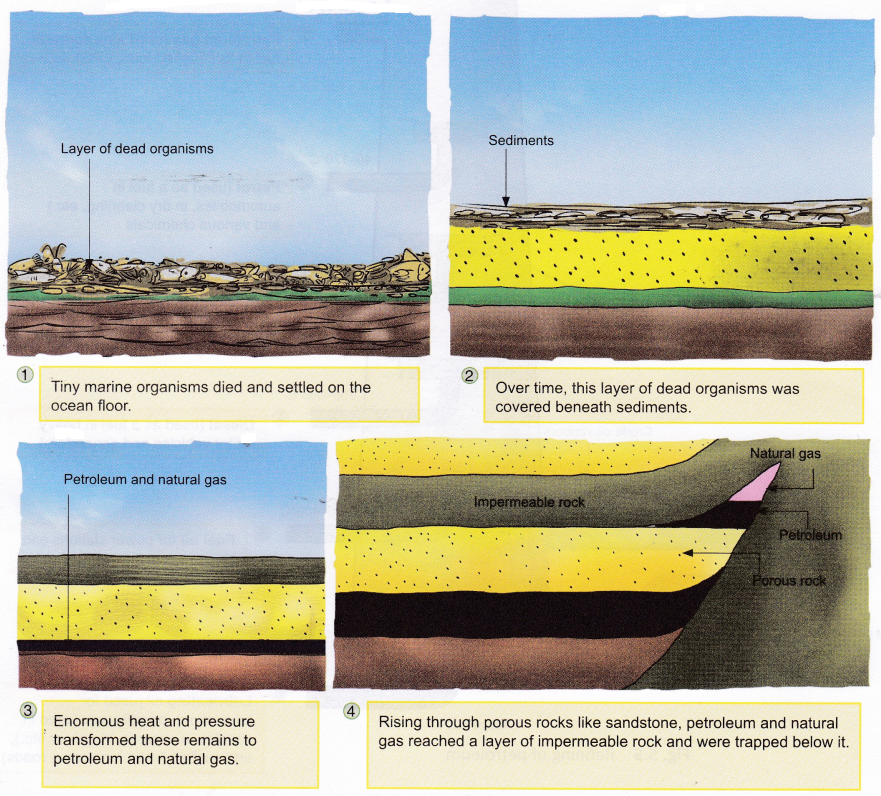 What are the Different Types of Fossil Fuels 2