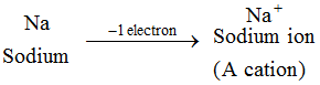 What are the two types of ion channels