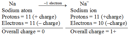 What are the different types of lithium ion batteries