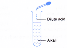 The chemical properties of lactic acid