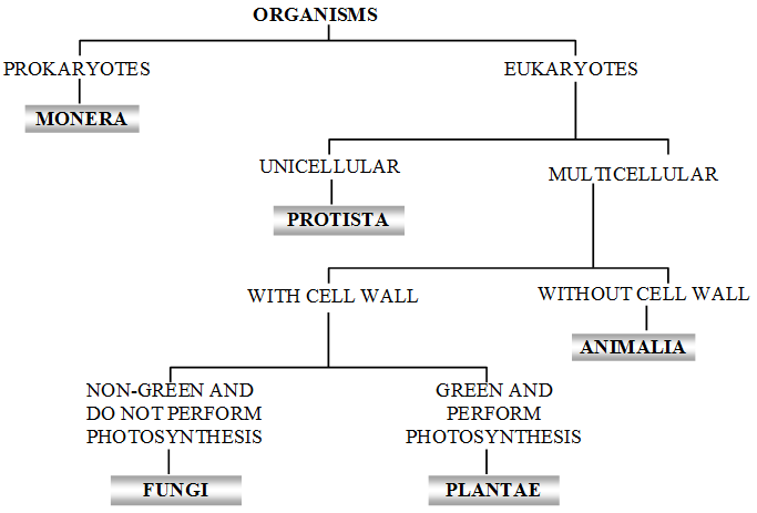 What is Binomial Nomenclature 1