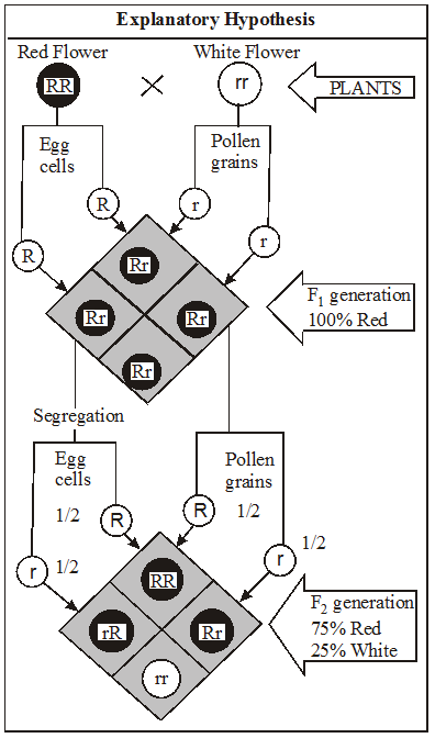 What is Mendelism 2