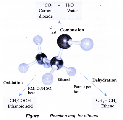 What is alcohol and how is it made 37