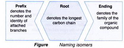 What is an isomerism 11