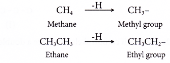 What is an isomerism 12