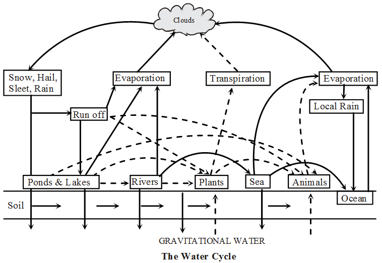 What is the Biogeochemical Cycle 1