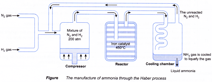 What is the Haber process used for 3