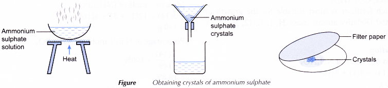 What is the Haber process used for 5