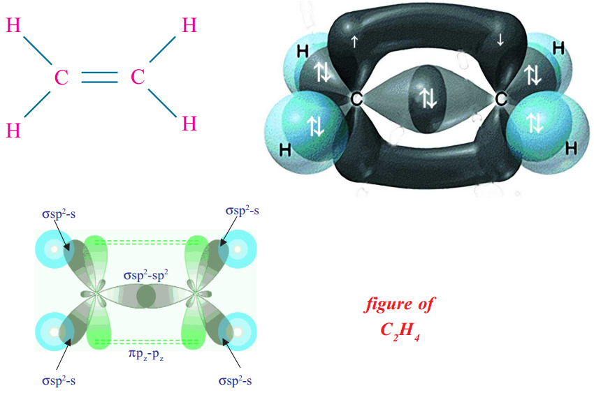 What is the Hybridization of the Carbon atoms in Ethylene 2