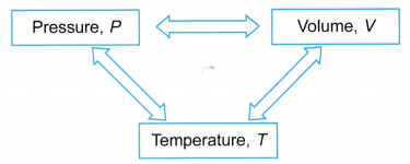 What is the Kinetic Molecular Theory of Gases 5