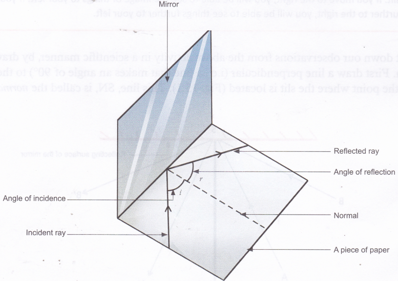 What is the Law of Reflection of Light